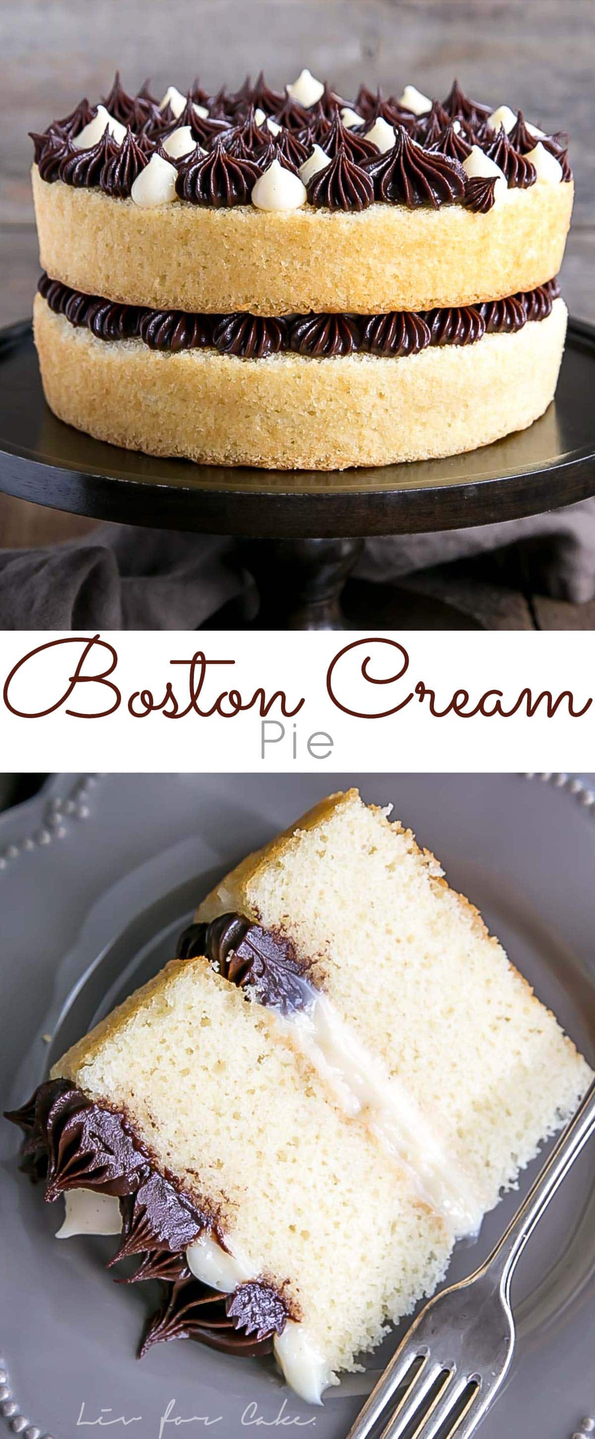 The classic Boston Cream Pie gets a modern makeover! Vanilla cake layers, creamy custard, and a rich chocolate ganache.