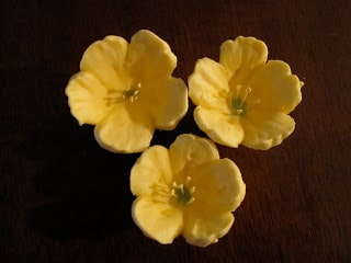 Close up of piped flowers