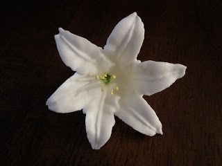Close up of a piped flower.