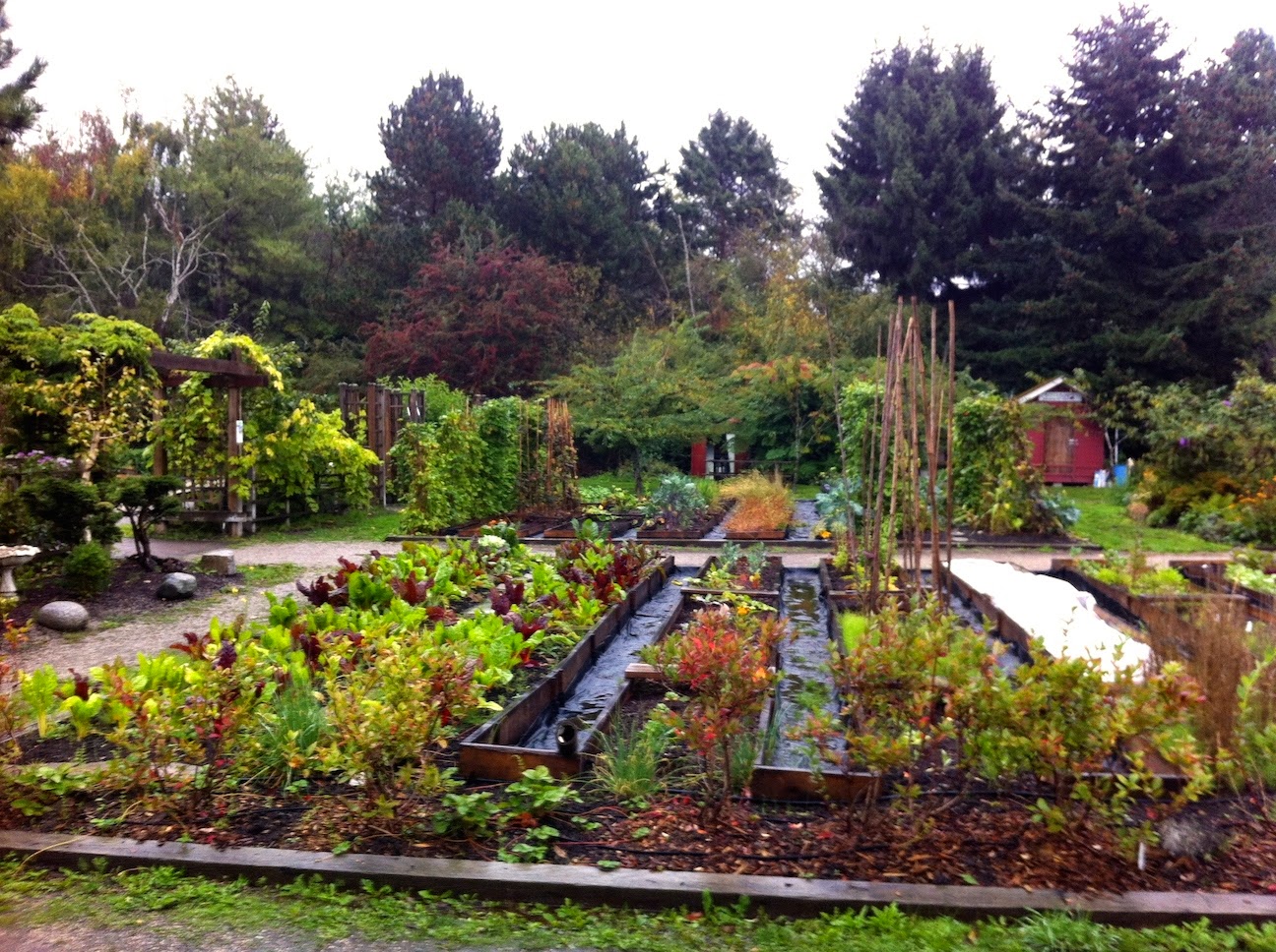 A display in a garden