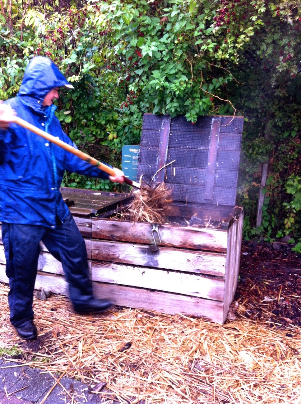 Scenes from the farm.