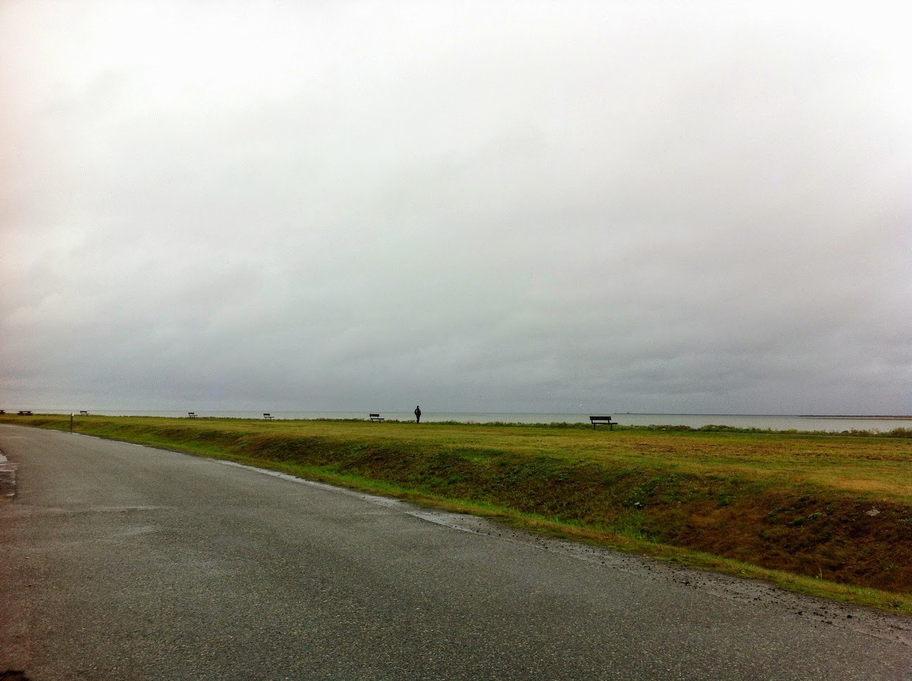 A rainbow over a field