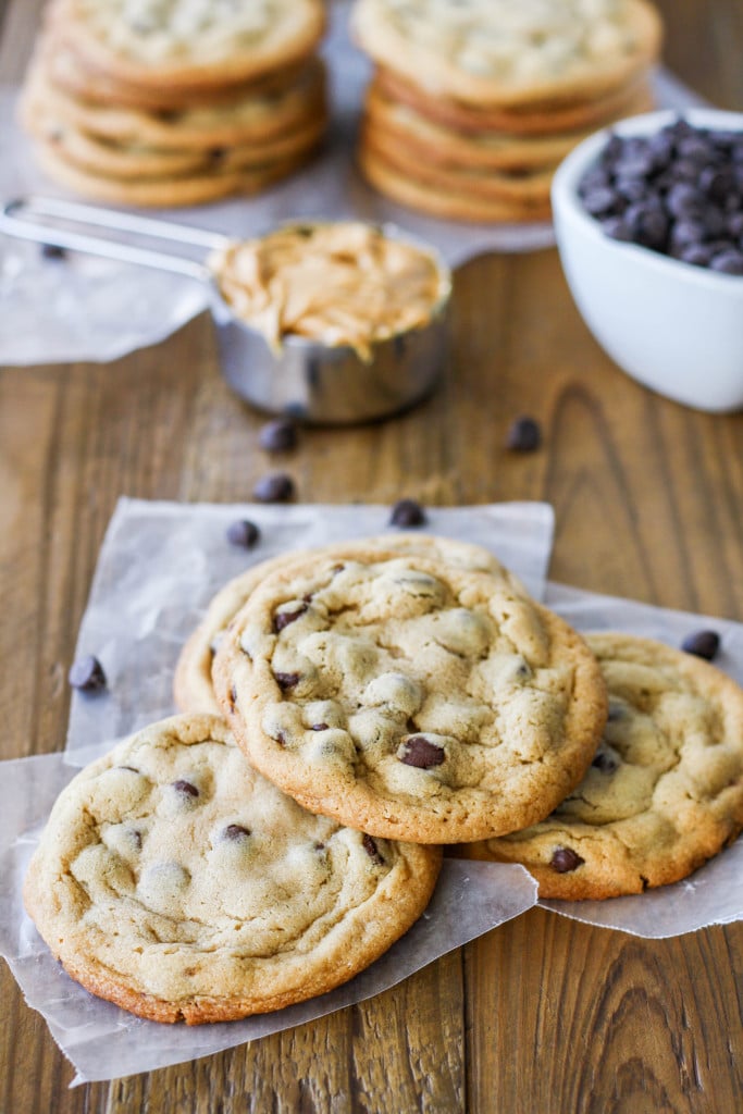 Peanut Butter Chocolate Chip Cookies! These chewy cookies are sweet, salty, and delicious. | livforcake.com Chewy peanut butter cookies with chocolate chips